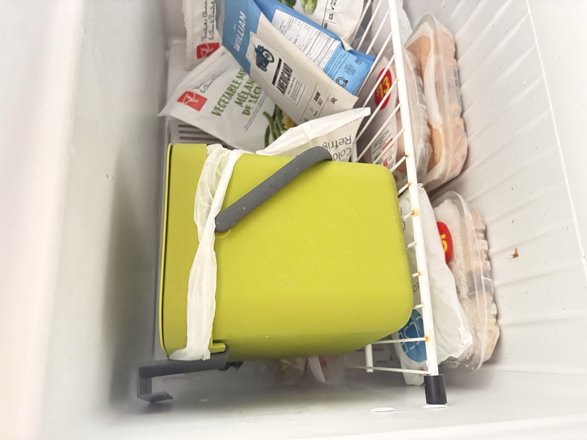Petit bac à compost vert dans le congélateur